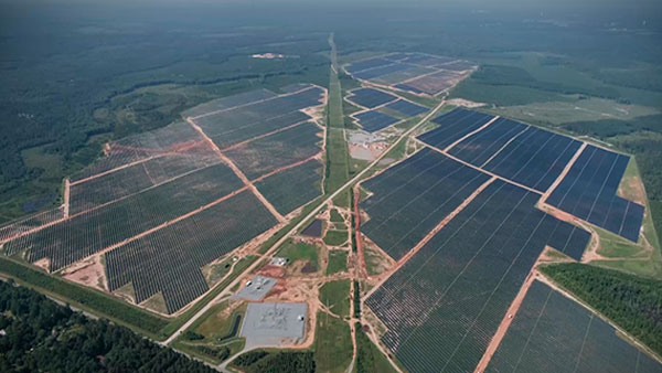 Image of a solar panel farm