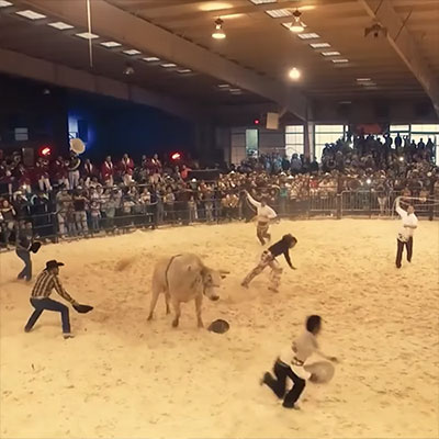 People running away from a raging bull in a rodeo